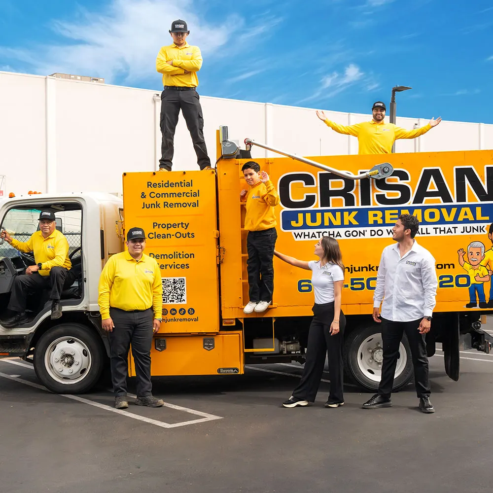 crisan professional team