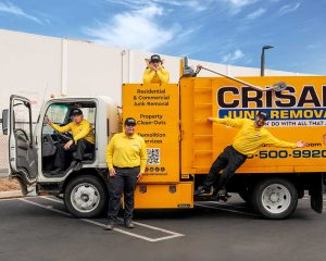 deck demolition services